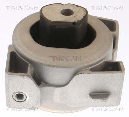 TRISCAN 8505 23104 Lagerung, Motor