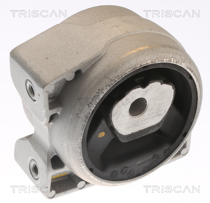TRISCAN 8505 23104 Lagerung, Motor