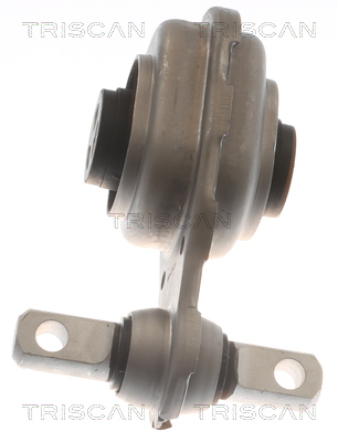 TRISCAN 8505 23106 Lagerung, Motor
