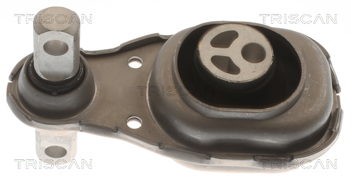 TRISCAN 8505 23106 Lagerung, Motor