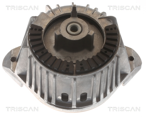 TRISCAN 8505 23107 Lagerung, Motor