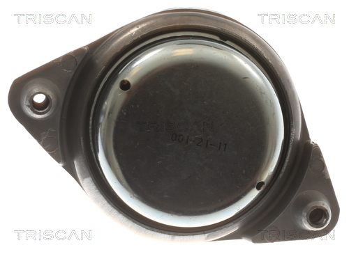 TRISCAN 8505 23107 Lagerung, Motor