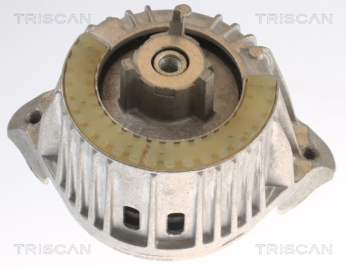 TRISCAN 8505 23108 Lagerung, Motor