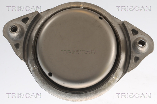 TRISCAN 8505 23108 Lagerung, Motor