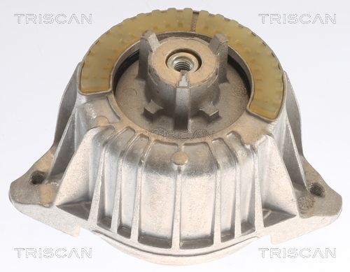 TRISCAN 8505 23109 Lagerung, Motor