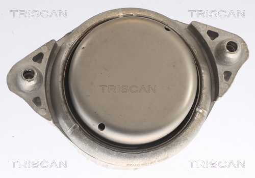 TRISCAN 8505 23109 Lagerung, Motor