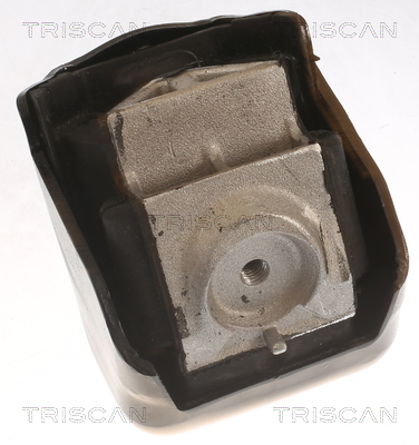 TRISCAN 8505 23110 Lagerung, Motor