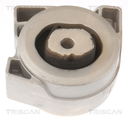 TRISCAN 8505 23200 Lagerung, Motor