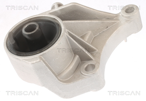 TRISCAN 8505 24100 Lagerung, Motor