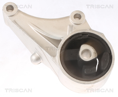 TRISCAN 8505 24101 Lagerung, Motor