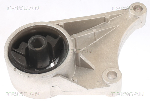 TRISCAN 8505 24102 Lagerung, Motor