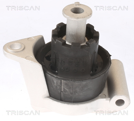TRISCAN 8505 24103 Lagerung, Motor