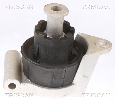 TRISCAN 8505 24103 Lagerung, Motor