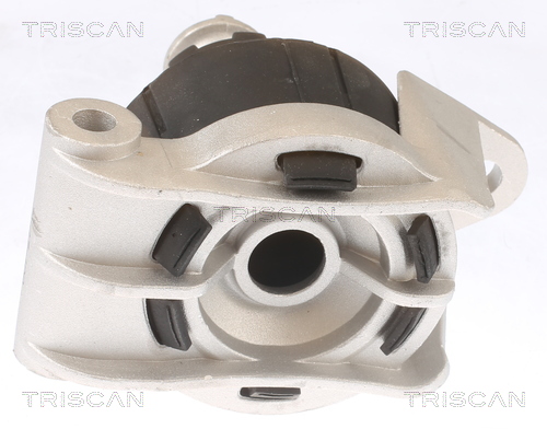 TRISCAN 8505 24103 Lagerung, Motor