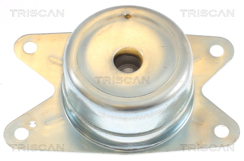 TRISCAN 8505 24105 Lagerung, Motor