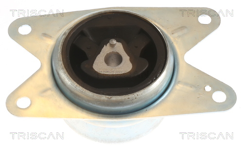 TRISCAN 8505 24105 Lagerung, Motor