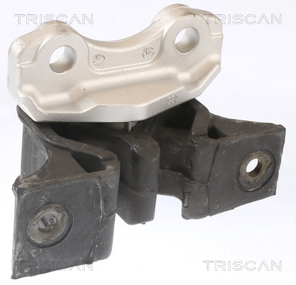 TRISCAN 8505 24106 Lagerung, Motor