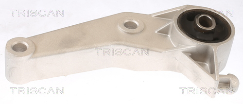 TRISCAN 8505 24107 Lagerung, Motor