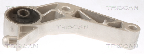 TRISCAN 8505 24107 Lagerung, Motor