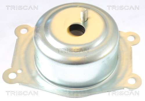 TRISCAN 8505 24108 Lagerung, Motor