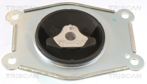 TRISCAN 8505 24108 Lagerung, Motor