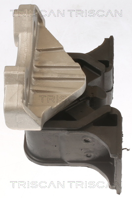 TRISCAN 8505 24109 Lagerung, Motor