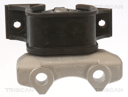 TRISCAN 8505 24109 Lagerung, Motor