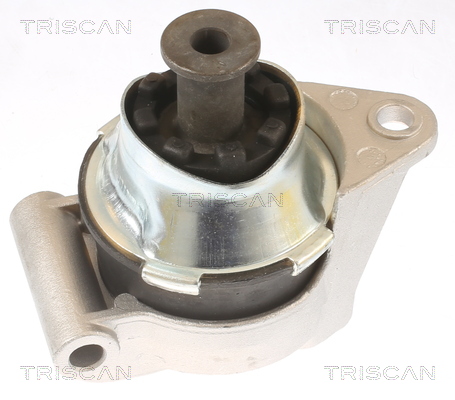 TRISCAN 8505 24110 Lagerung, Motor