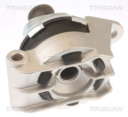 TRISCAN 8505 24110 Lagerung, Motor