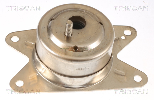 TRISCAN 8505 24111 Lagerung, Motor