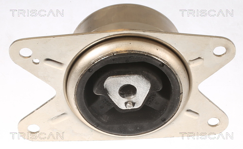 TRISCAN 8505 24111 Lagerung, Motor