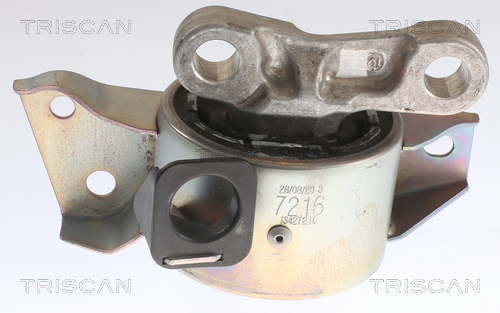 TRISCAN 8505 24113 Lagerung, Motor