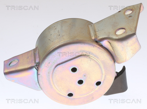 TRISCAN 8505 24113 Lagerung, Motor
