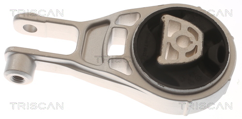 TRISCAN 8505 24114 Lagerung, Motor