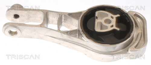 TRISCAN 8505 24116 Lagerung, Motor