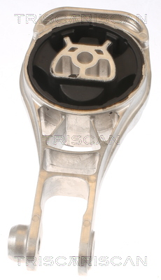 TRISCAN 8505 24116 Lagerung, Motor