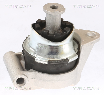 TRISCAN 8505 24117 Lagerung, Motor