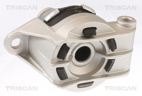 TRISCAN 8505 24117 Lagerung, Motor