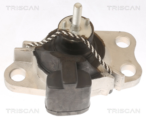 TRISCAN 8505 25100 Lagerung, Motor