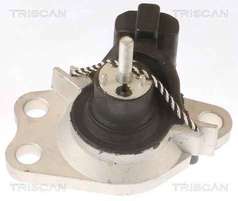 TRISCAN 8505 25100 Lagerung, Motor
