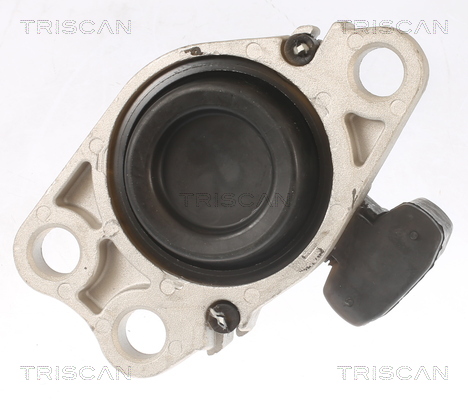 TRISCAN 8505 25100 Lagerung, Motor