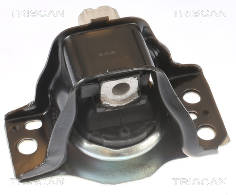 TRISCAN 8505 25102 Lagerung, Motor