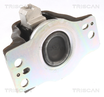 TRISCAN 8505 25102 Lagerung, Motor