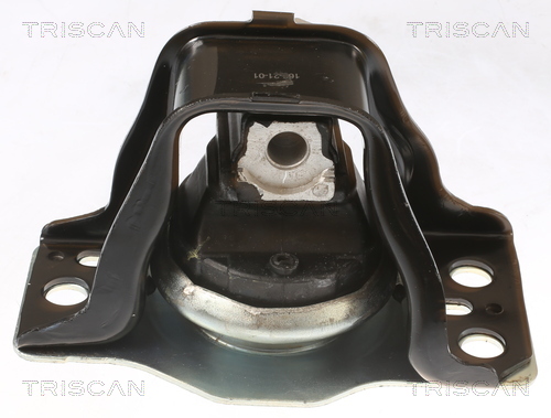TRISCAN 8505 25103 Lagerung, Motor