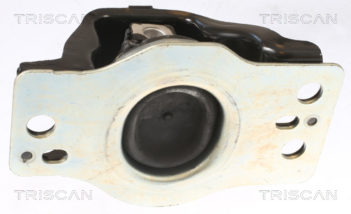 TRISCAN 8505 25103 Lagerung, Motor