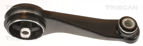 TRISCAN 8505 25104 Lagerung, Motor