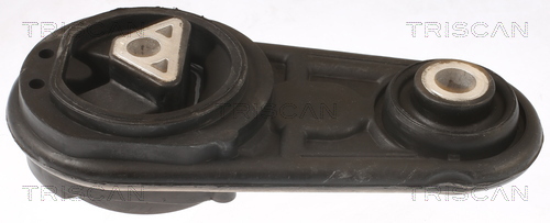 TRISCAN 8505 25106 Lagerung, Motor