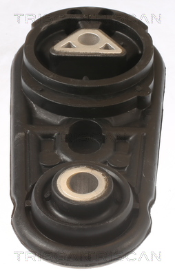 TRISCAN 8505 25106 Lagerung, Motor