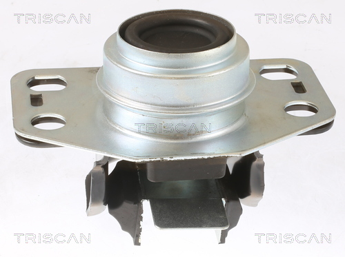 TRISCAN 8505 25107 Lagerung, Motor