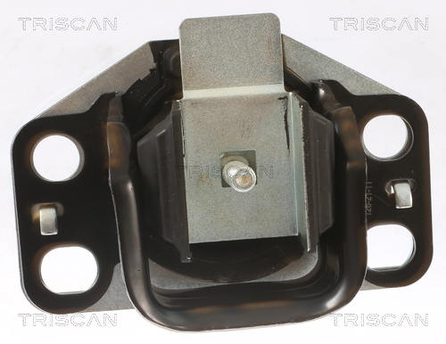 TRISCAN 8505 25107 Lagerung, Motor